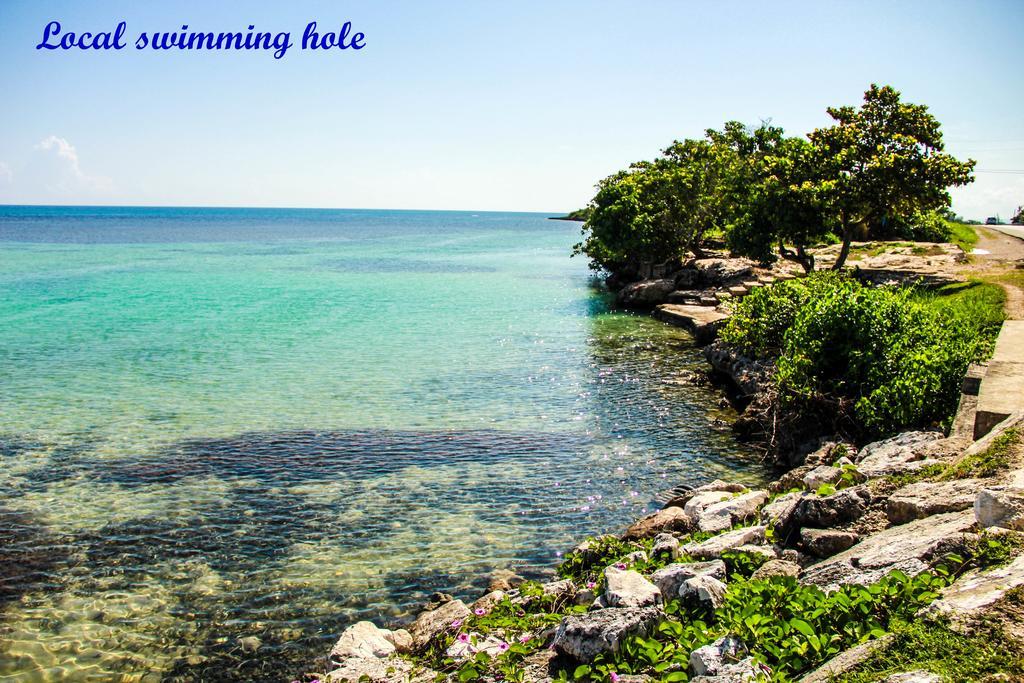 Sunshine Lodge: Your Home Away From Home Montego Bay Ngoại thất bức ảnh