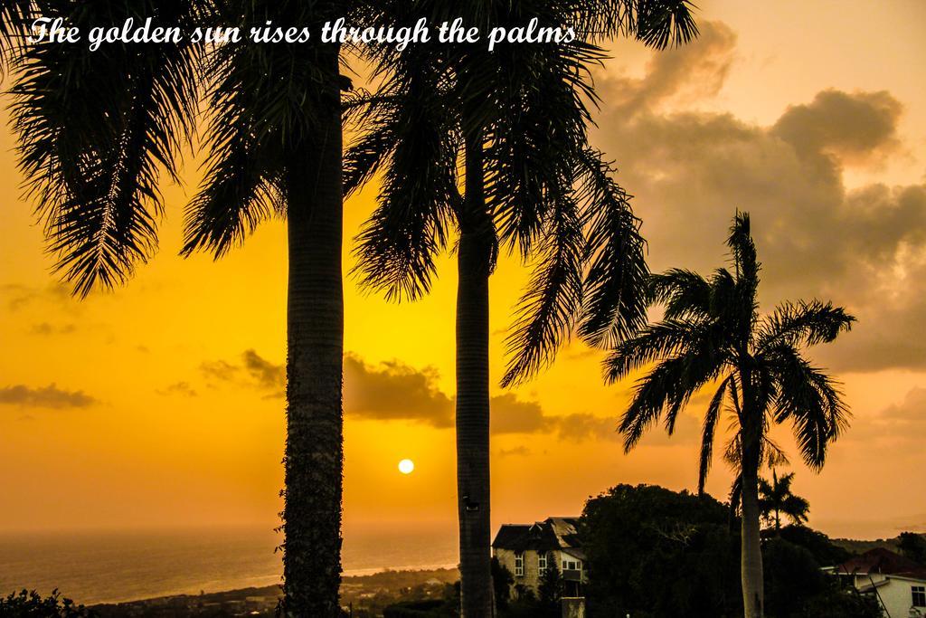 Sunshine Lodge: Your Home Away From Home Montego Bay Ngoại thất bức ảnh