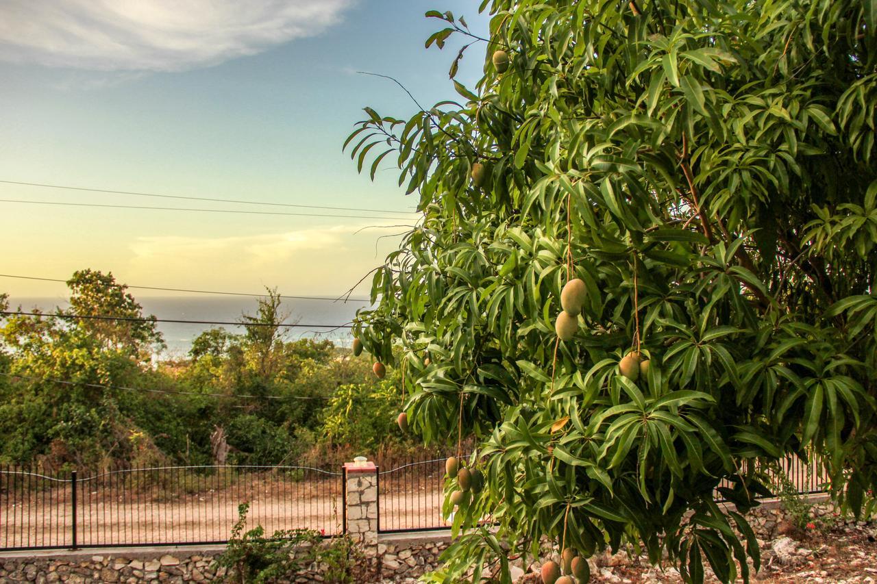 Sunshine Lodge: Your Home Away From Home Montego Bay Ngoại thất bức ảnh