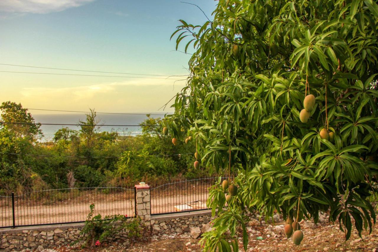 Sunshine Lodge: Your Home Away From Home Montego Bay Ngoại thất bức ảnh
