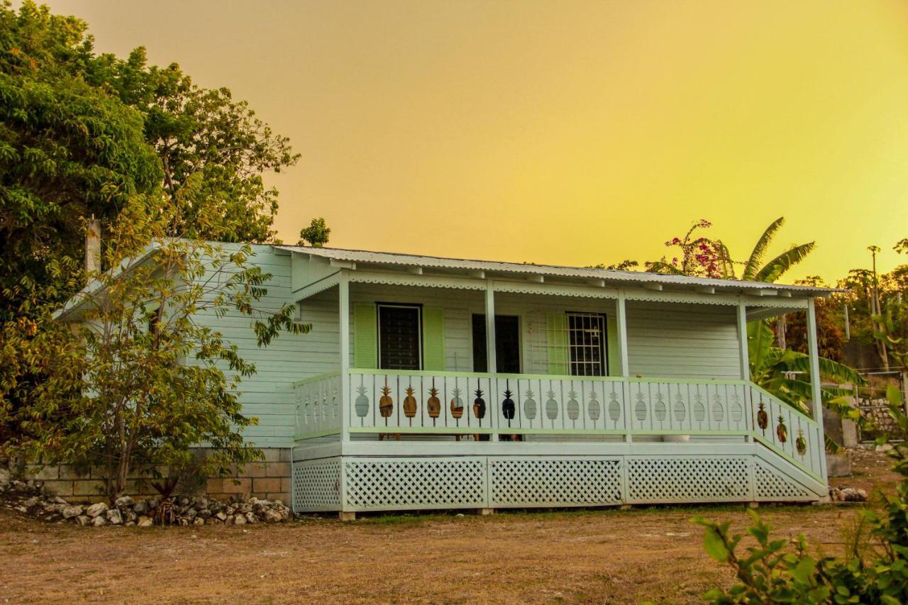 Sunshine Lodge: Your Home Away From Home Montego Bay Ngoại thất bức ảnh