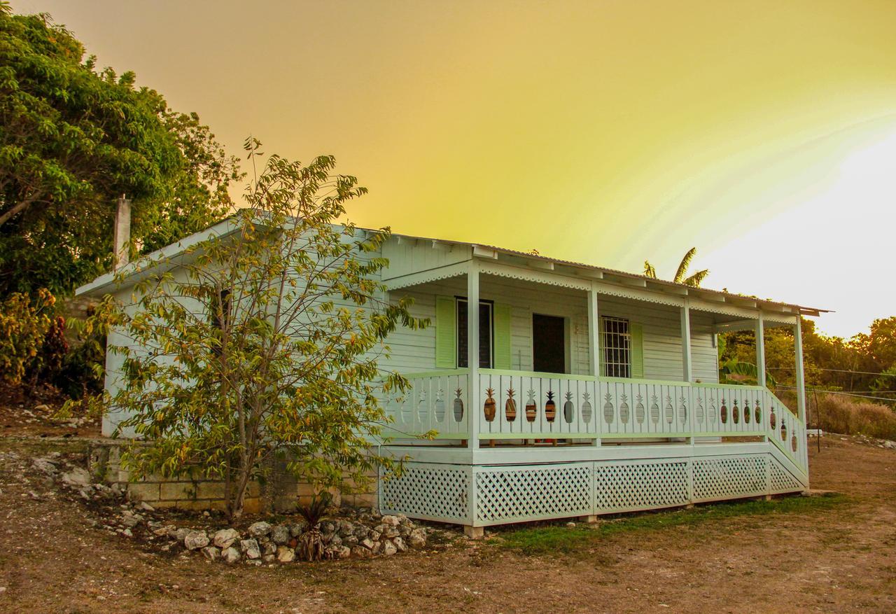 Sunshine Lodge: Your Home Away From Home Montego Bay Ngoại thất bức ảnh