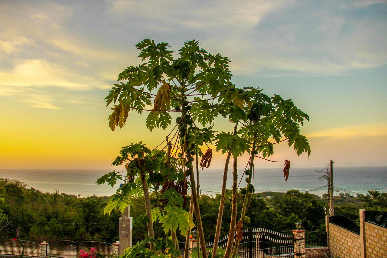 Sunshine Lodge: Your Home Away From Home Montego Bay Ngoại thất bức ảnh